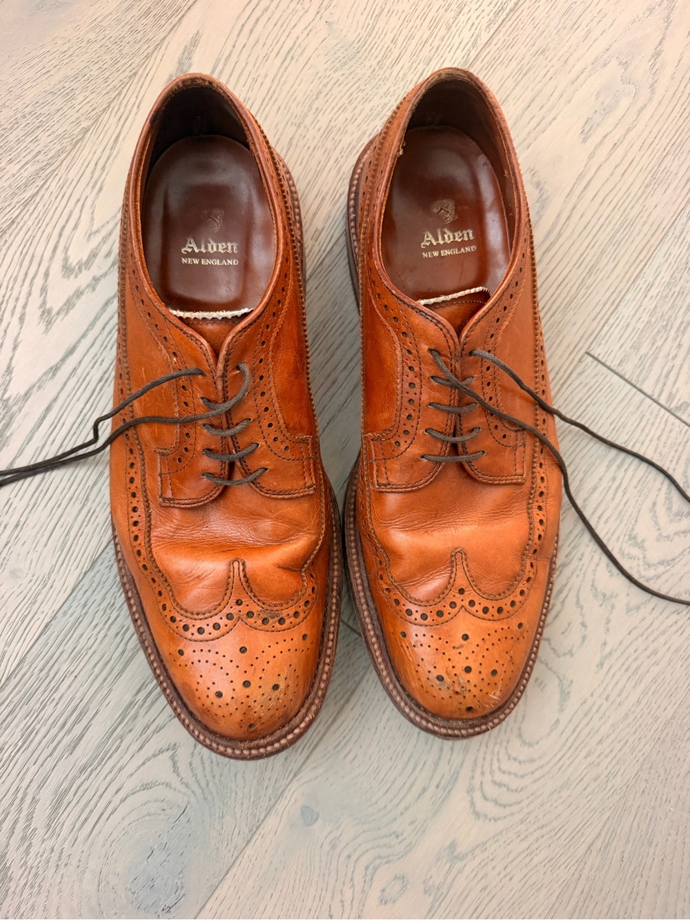 Alden 979 Long Wing Blucher Men in ’s 10D Burnished Tan Leather Brogue Shoes USA